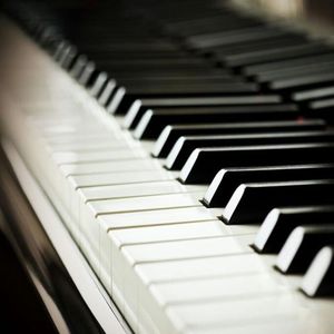 日本成人xx视频在线观看
