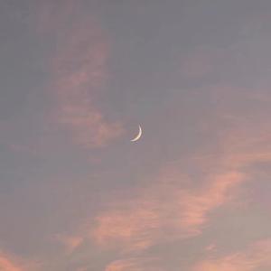 欧亚少女重口味
