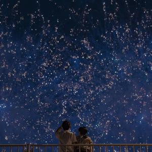 日本成人xx视频在线观看
