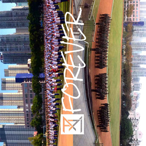 日本成人xx视频在线观看
